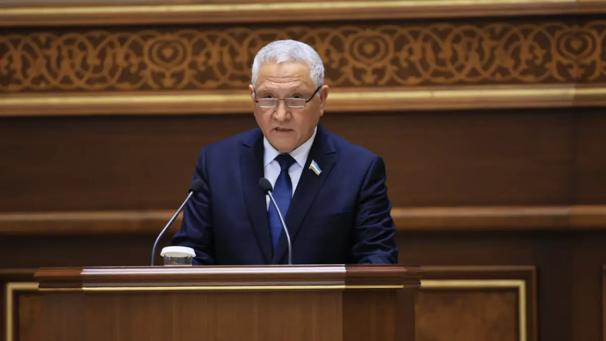 A representative of Uzbekistan’s Senate speaks at a plenary session
