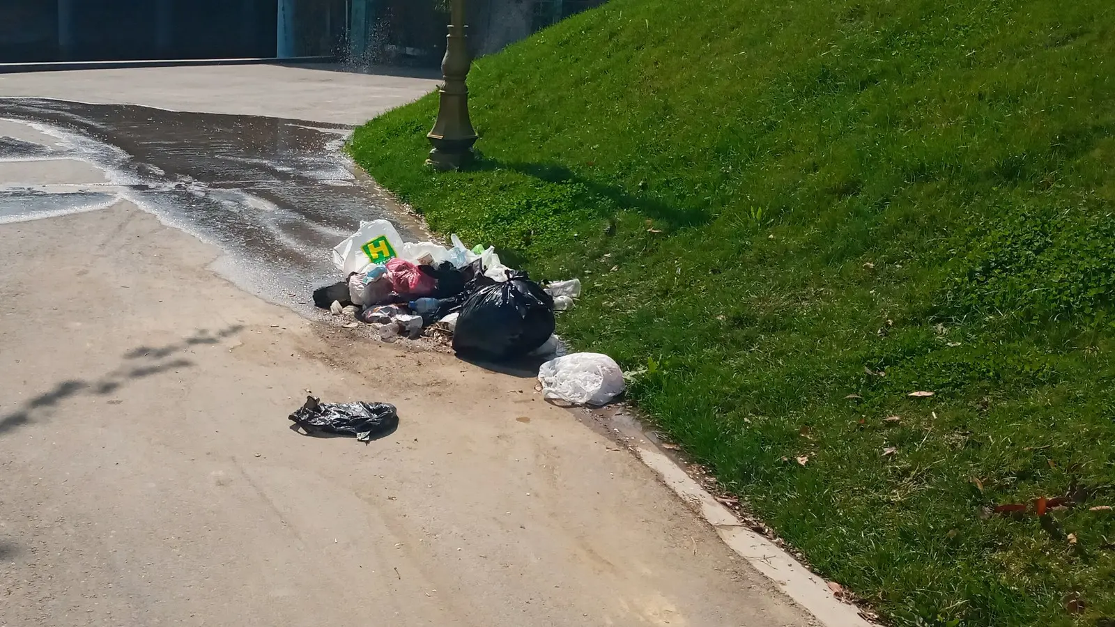 Waste left beside a pedestrian path in Tashkent