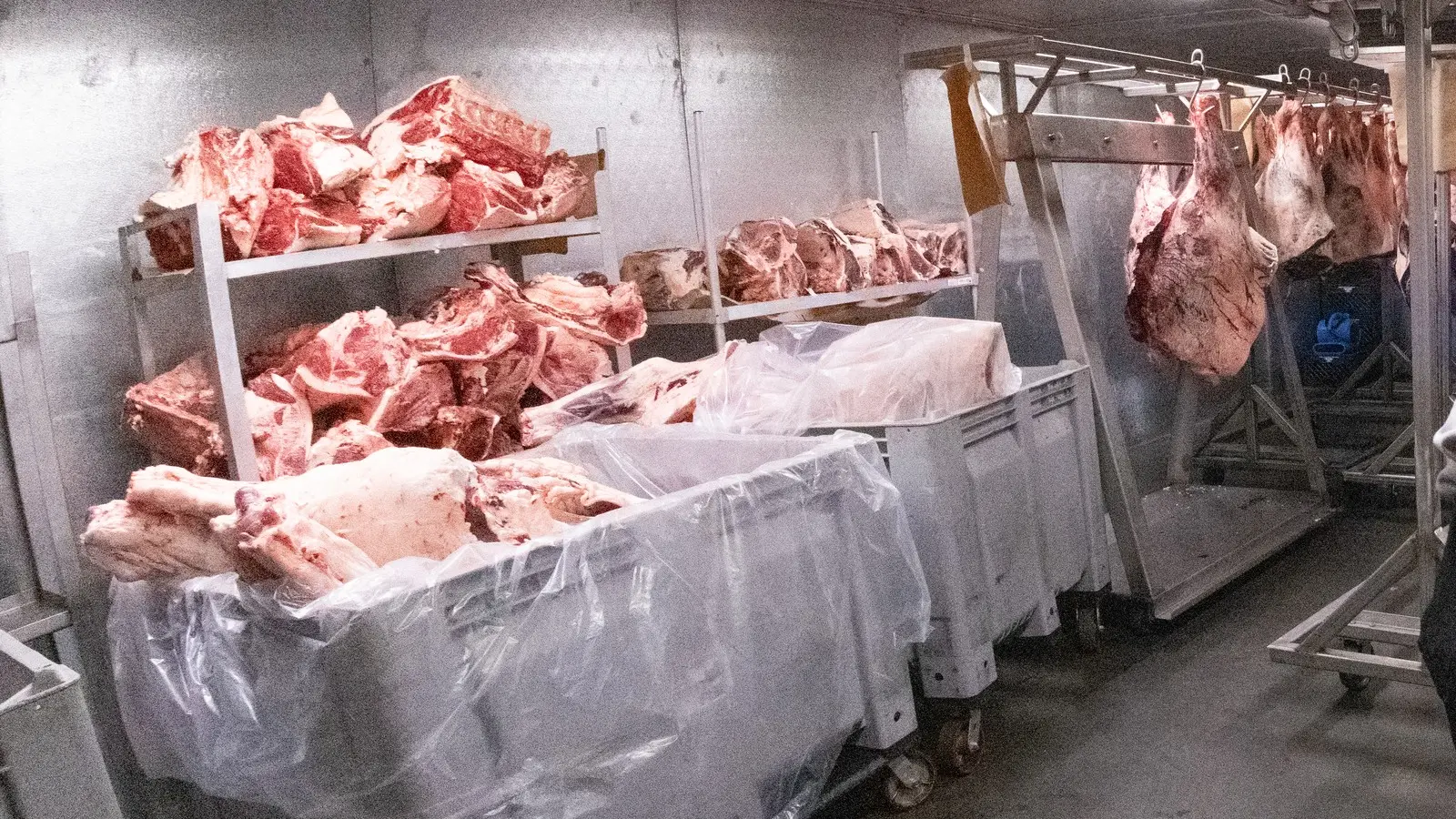 Beef in a refrigerated processing room, illustrative image